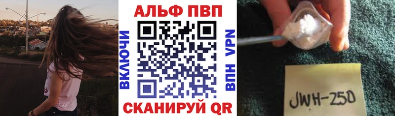 A PVP СК КРИС Петровск