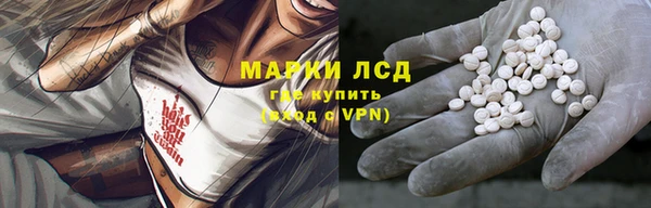 гидра Кукмор