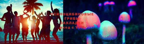 гидра Кукмор