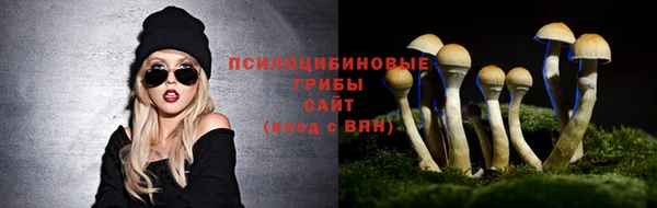 дурь Куйбышев