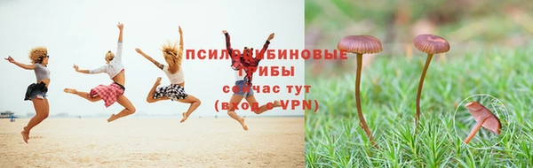 дурь Куйбышев