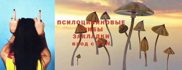 дурь Куйбышев