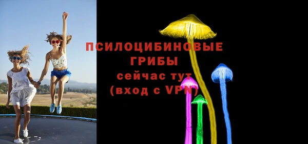 амф Кулебаки